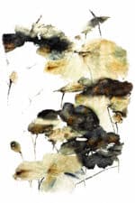 Glamour271 200x290cm