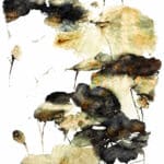 Glamour270 160x230cm